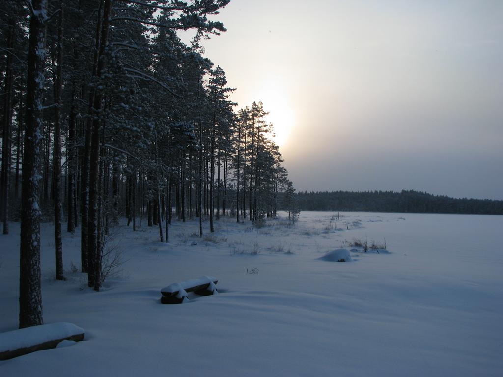 Haudamaee Puhkemaja Villa Meelva ภายนอก รูปภาพ